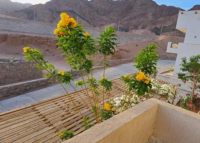 Apartment Half Moon - Sunny Dahab
